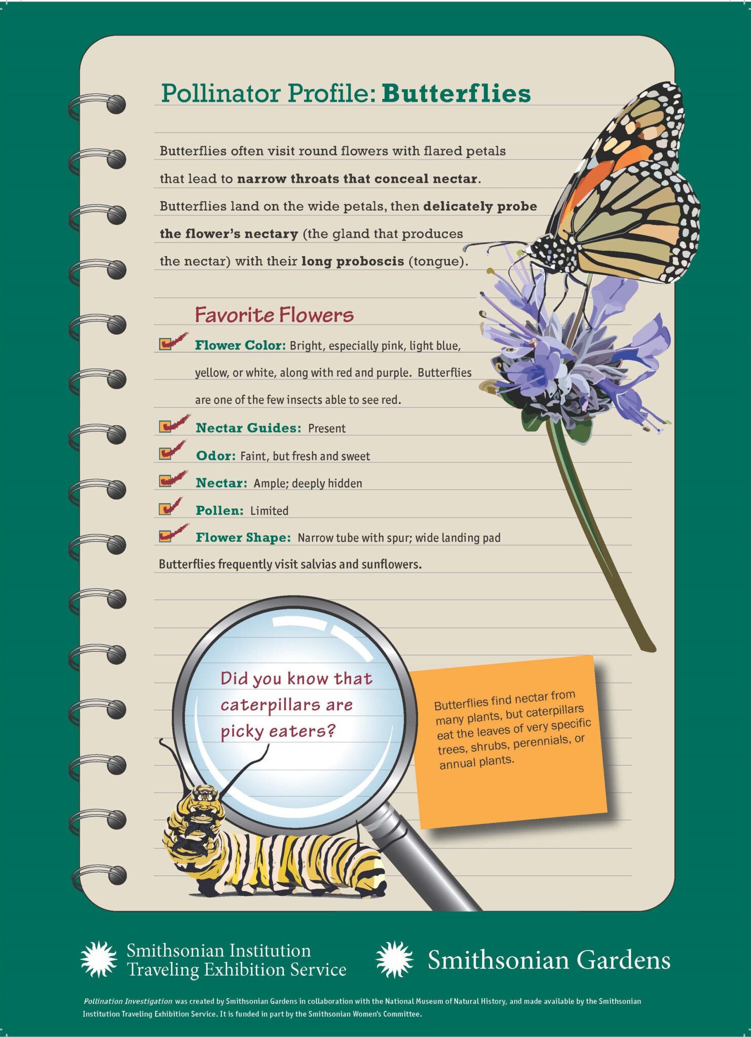 Digital Exhibit - Pollination Investigation - Flamingo Gardens