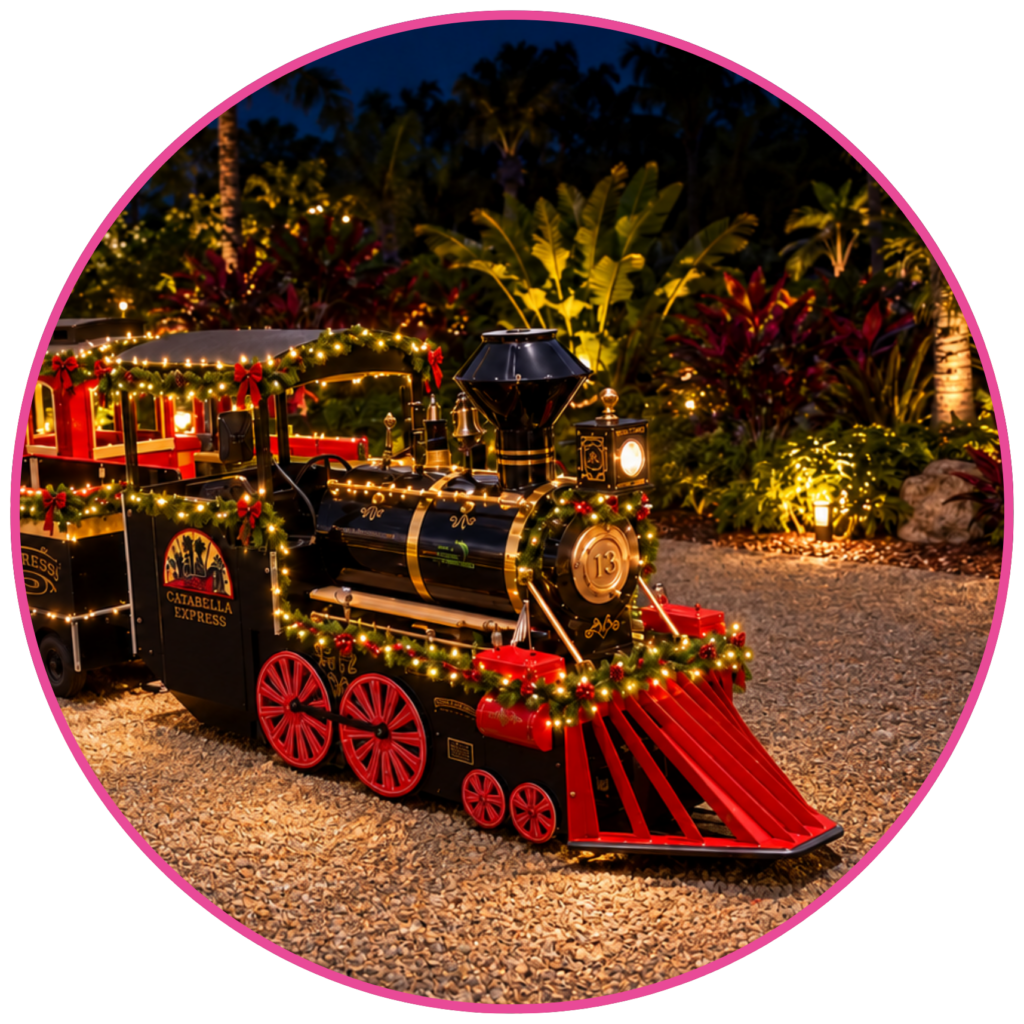 Singalong Express
